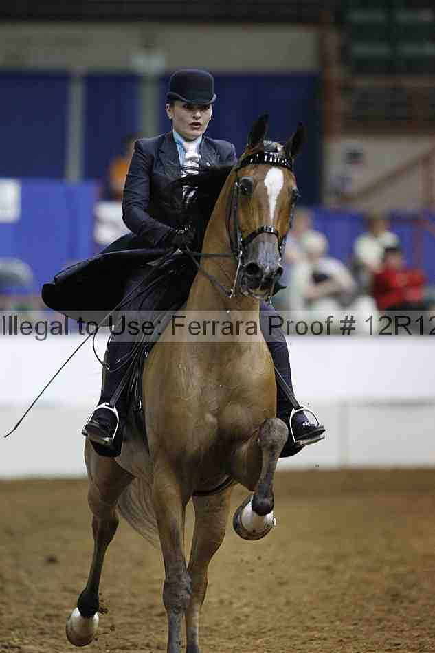 Proof Number 12r12_6154