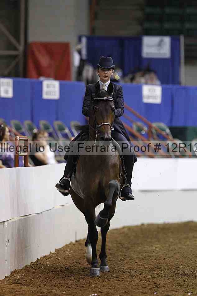 Proof Number 12r12_6157