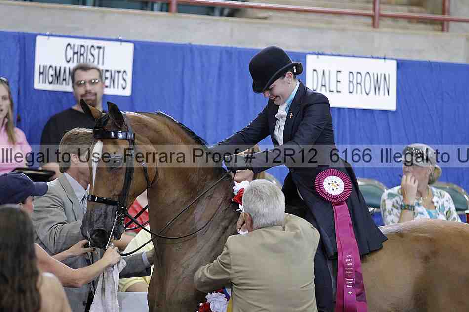 Proof Number 12r12_6166
