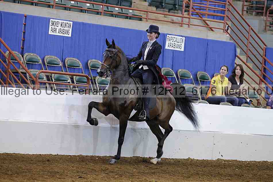 Proof Number 12r12_6176