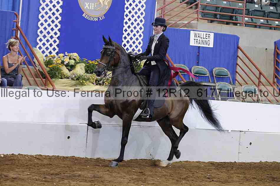 Proof Number 12r12_6177