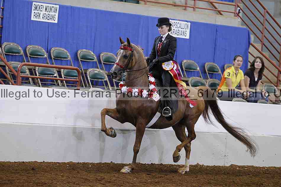 Proof Number 12r12_6179