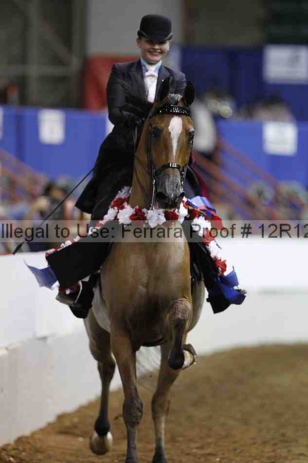 Proof Number 12r12_6181