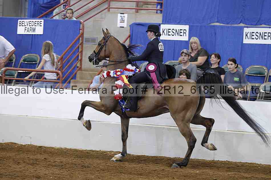Proof Number 12r12_6185