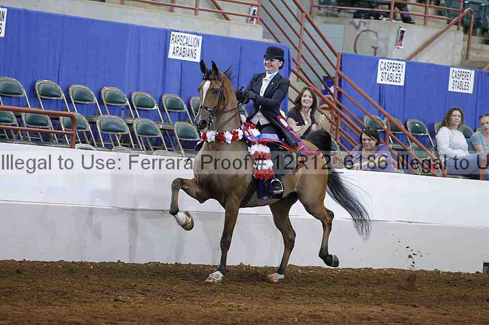 Proof Number 12r12_6186