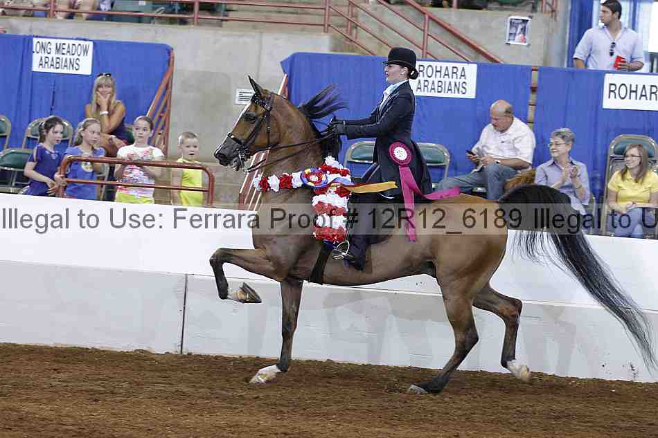 Proof Number 12r12_6189