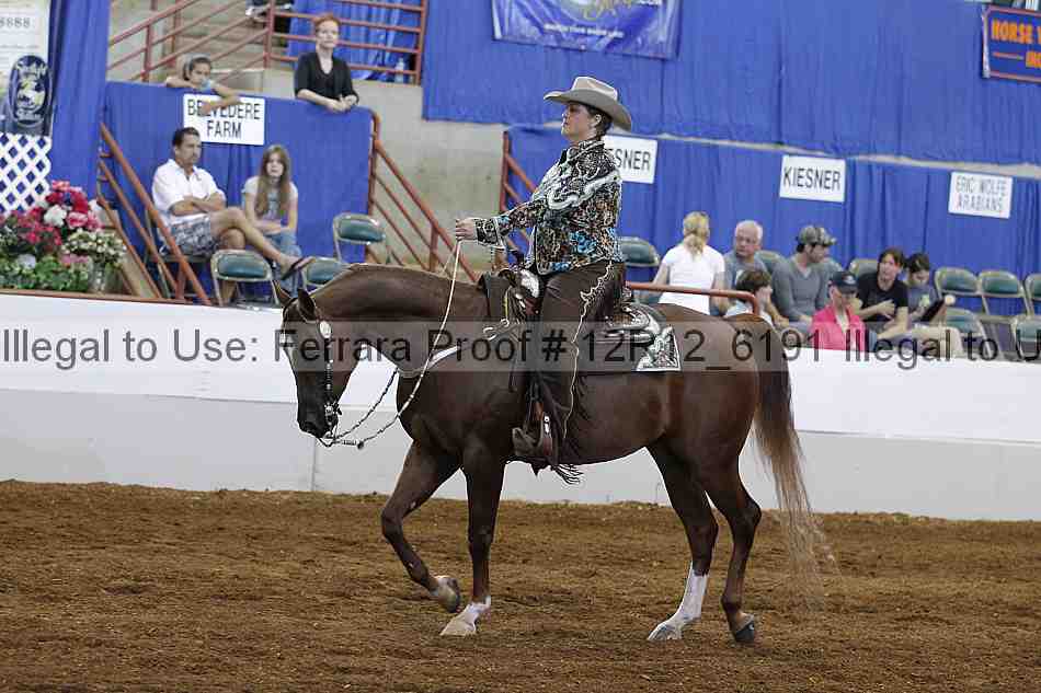 Proof Number 12r12_6191