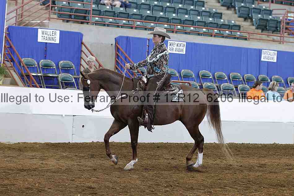 Proof Number 12r12_6206
