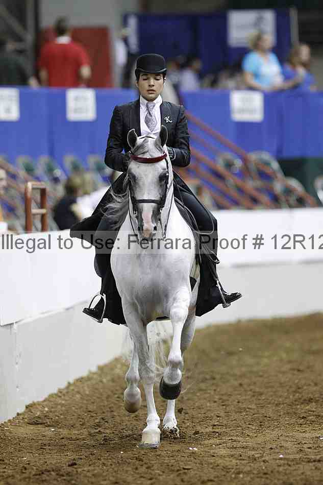 Proof Number 12r12_6215