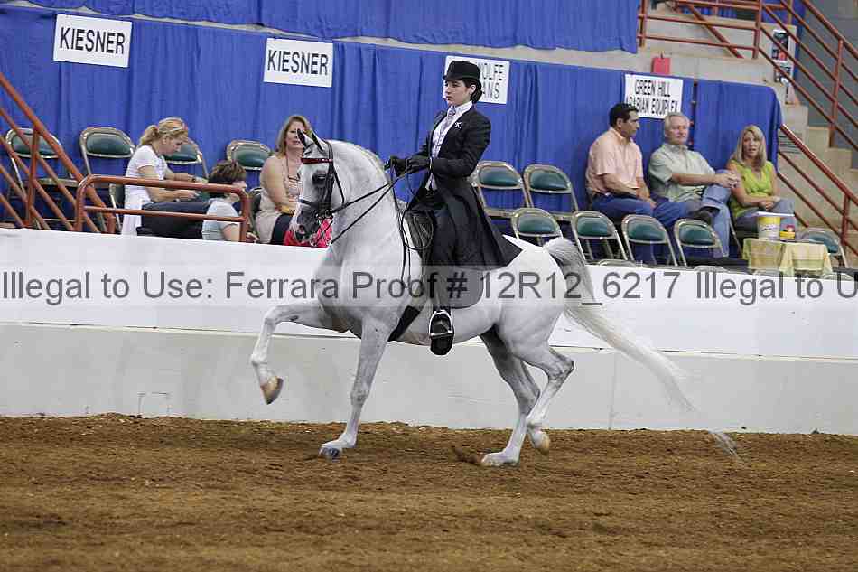 Proof Number 12r12_6217