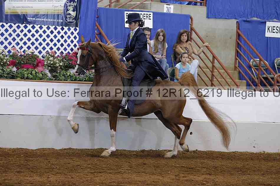 Proof Number 12r12_6219