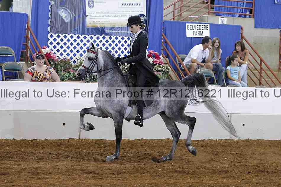 Proof Number 12r12_6221