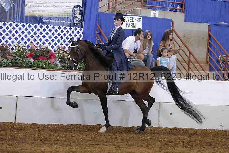 Proof Number 12r12_6223