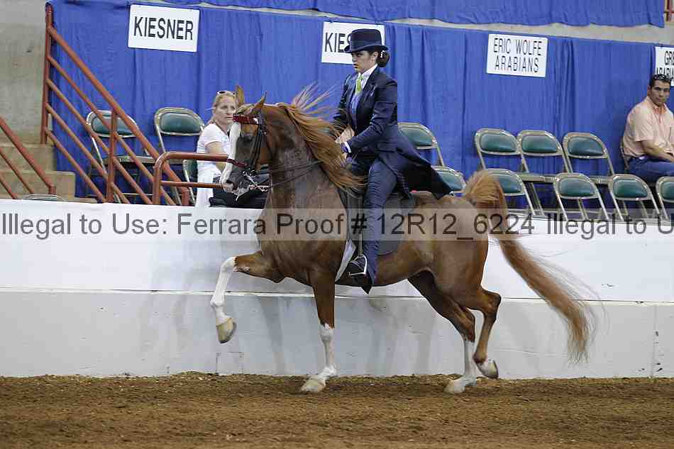 Proof Number 12r12_6224