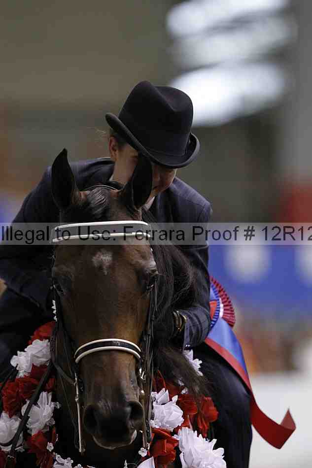 Proof Number 12r12_6238