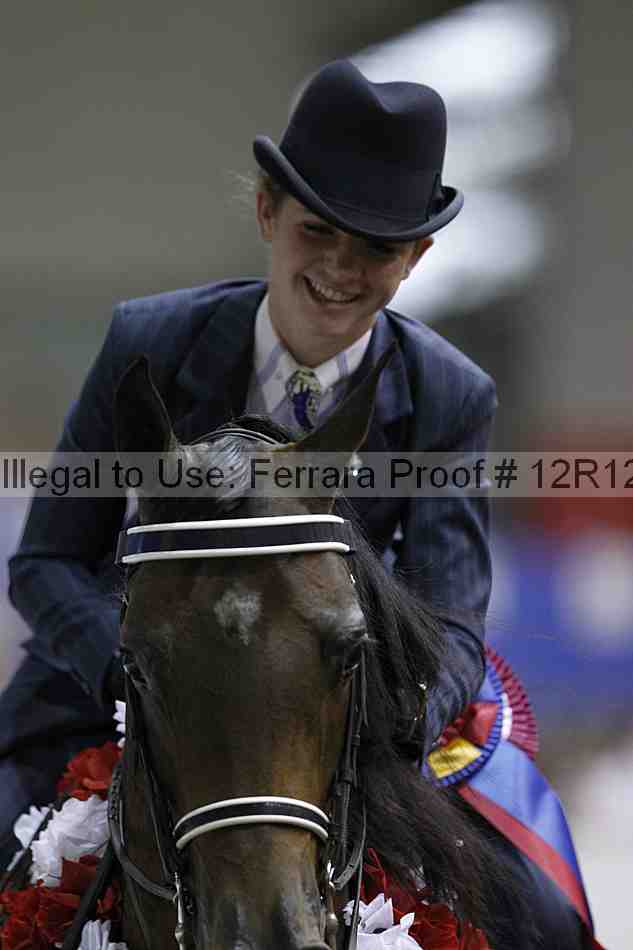 Proof Number 12r12_6239