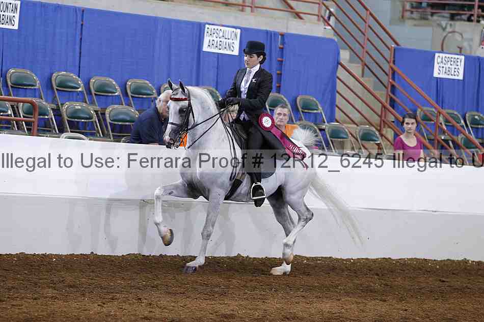 Proof Number 12r12_6245