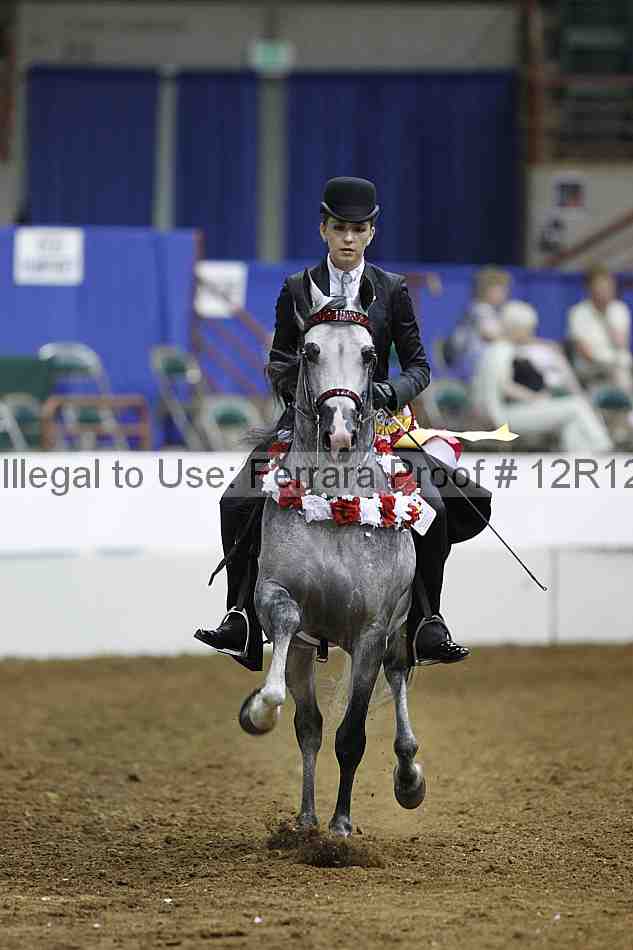 Proof Number 12r12_6247