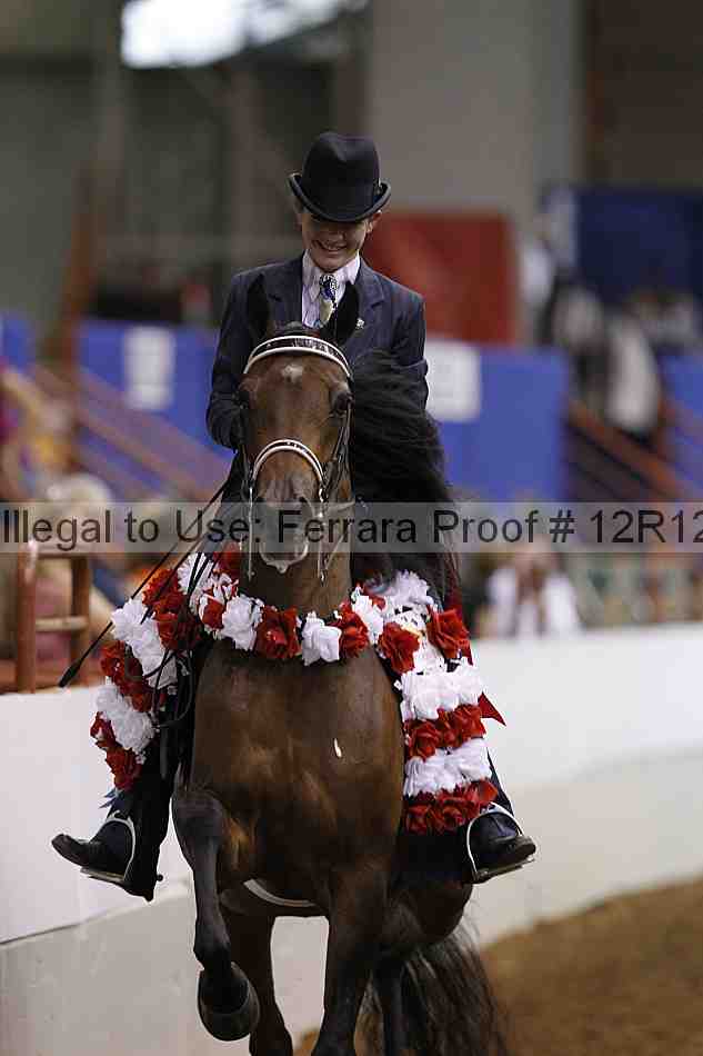 Proof Number 12r12_6252