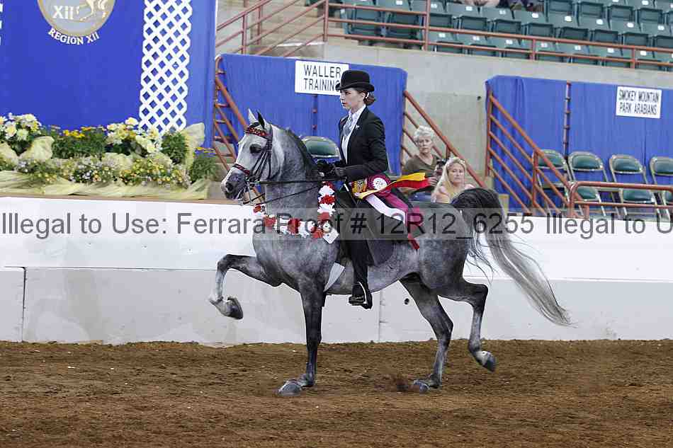 Proof Number 12r12_6255