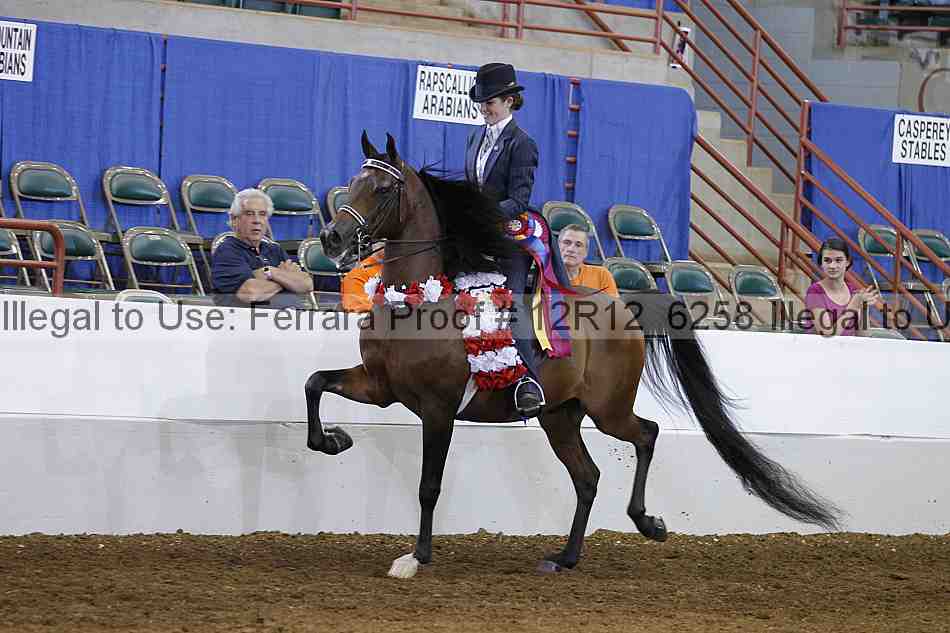 Proof Number 12r12_6258