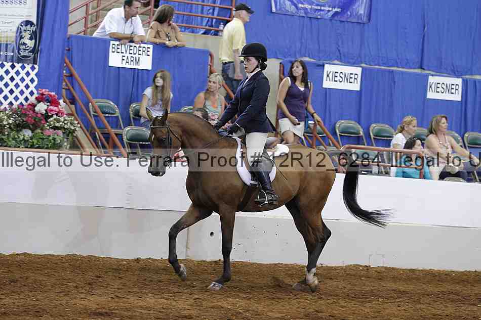 Proof Number 12r12_6284