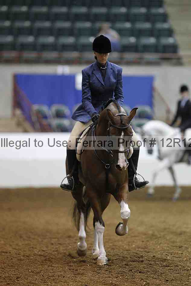 Proof Number 12r12_6296
