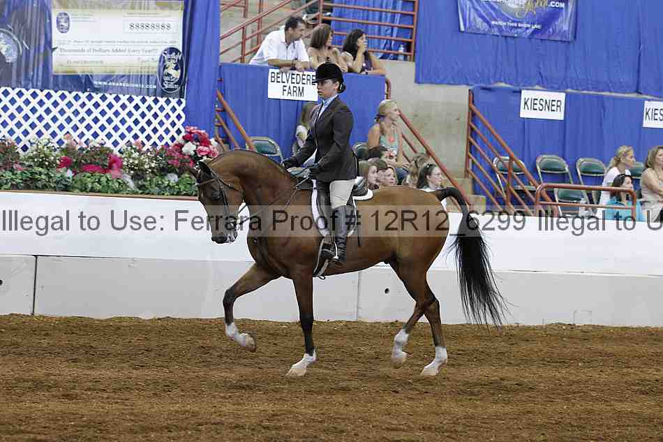 Proof Number 12r12_6299