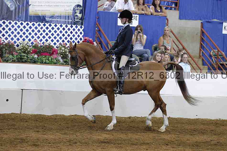 Proof Number 12r12_6302