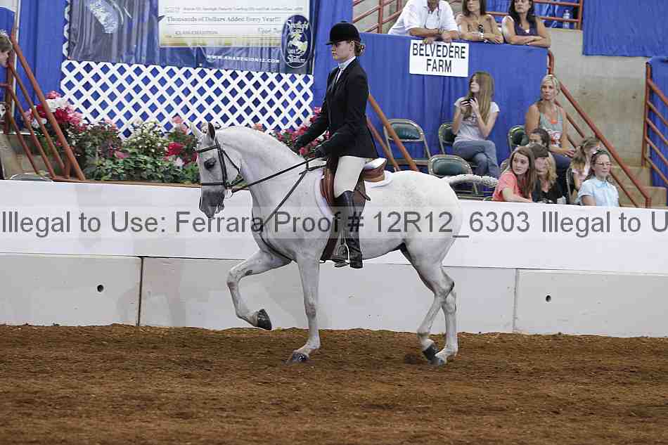 Proof Number 12r12_6303