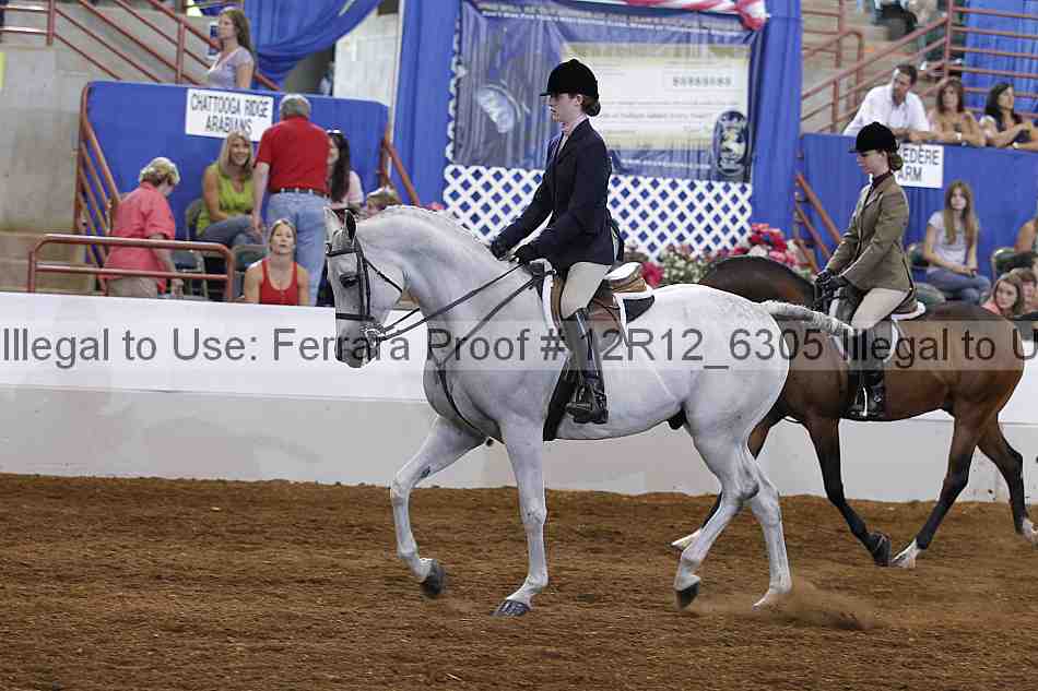 Proof Number 12r12_6305