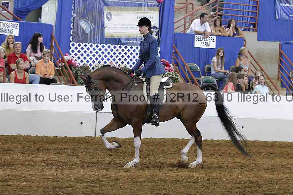 Proof Number 12r12_6310