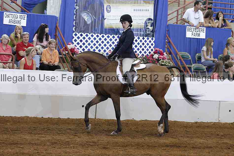 Proof Number 12r12_6311