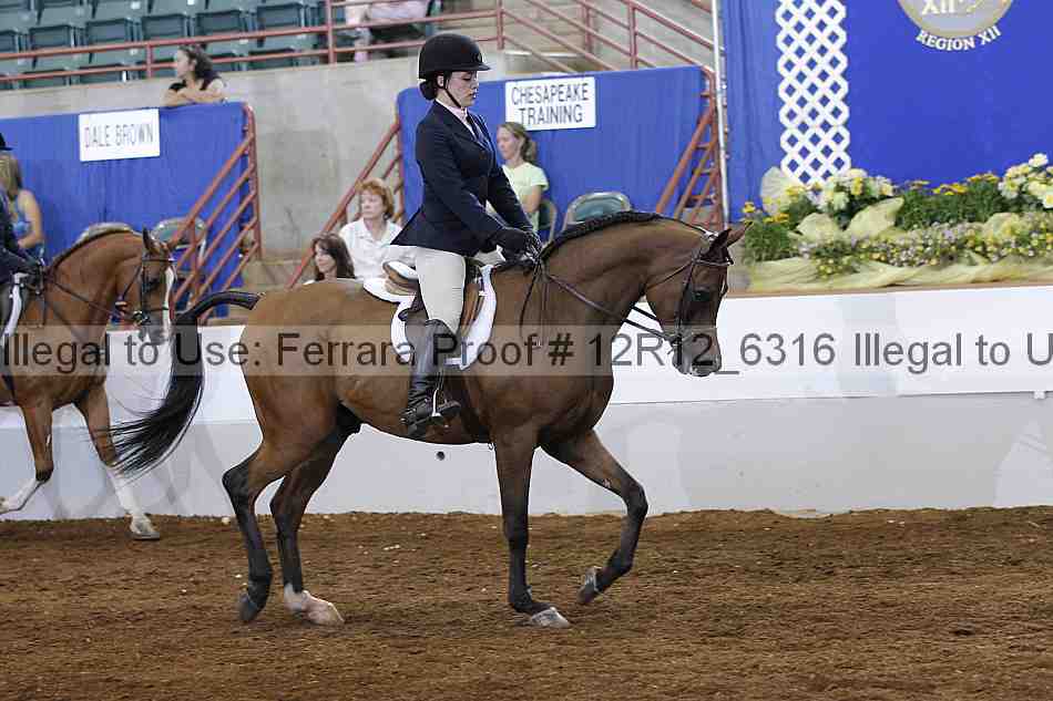 Proof Number 12r12_6316
