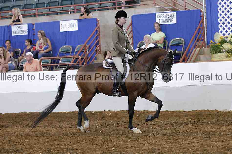 Proof Number 12r12_6317