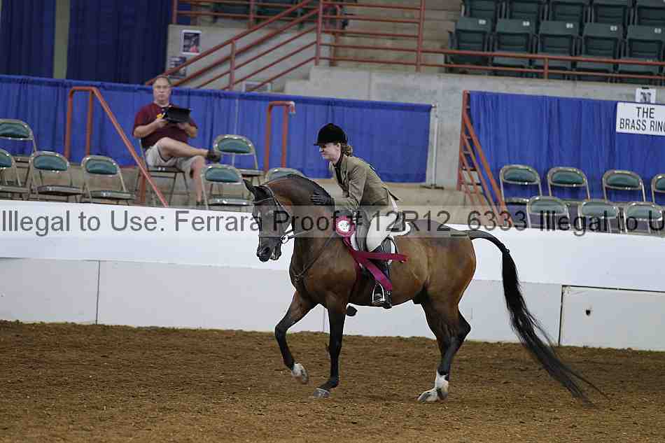 Proof Number 12r12_6333