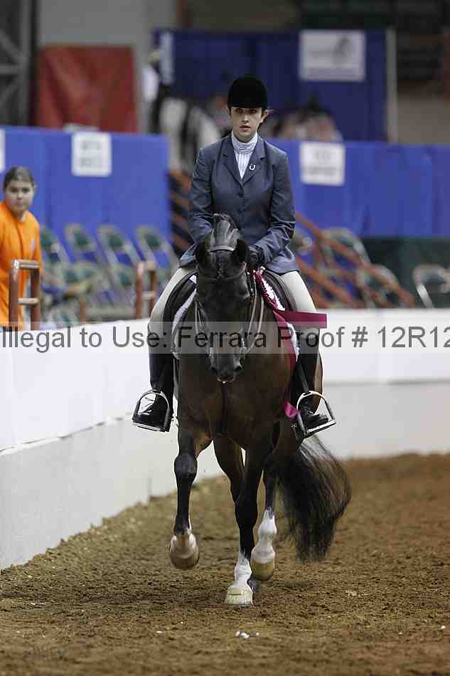 Proof Number 12r12_6339