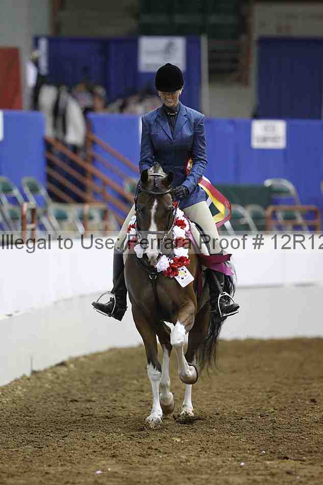 Proof Number 12r12_6342