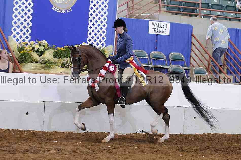 Proof Number 12r12_6349