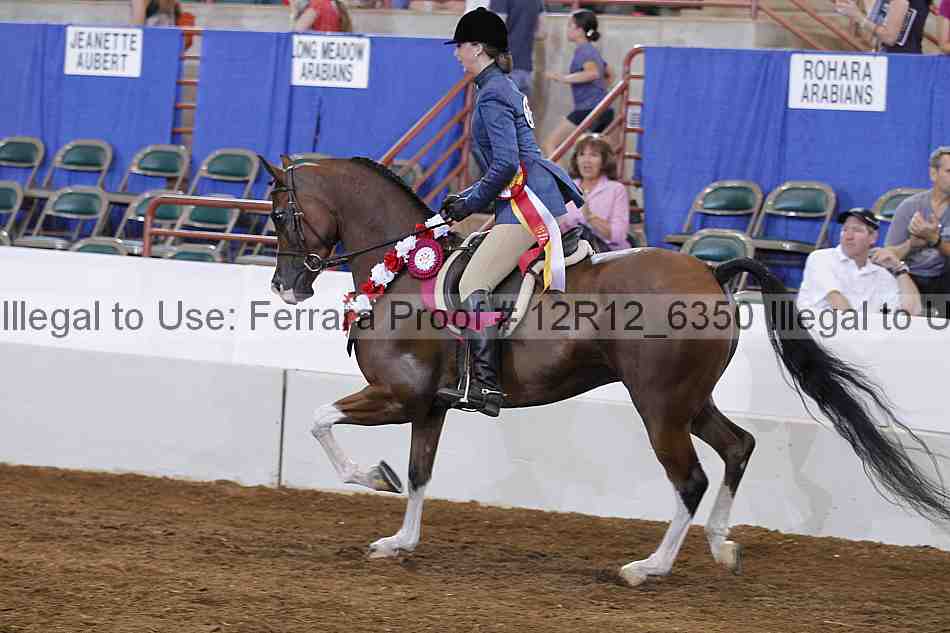 Proof Number 12r12_6350