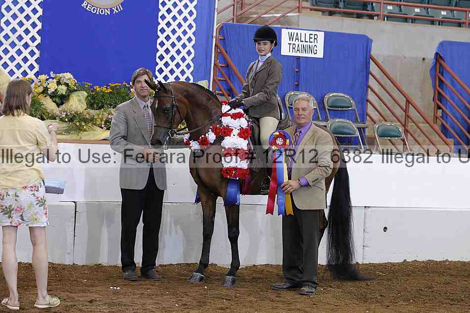 Proof Number 12r12_6382