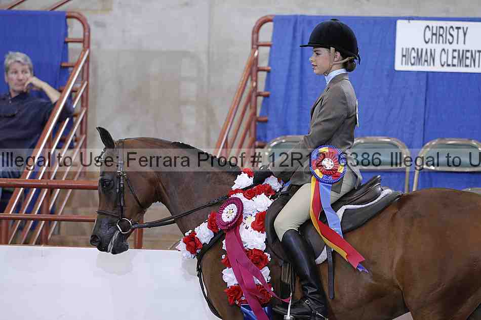 Proof Number 12r12_6386