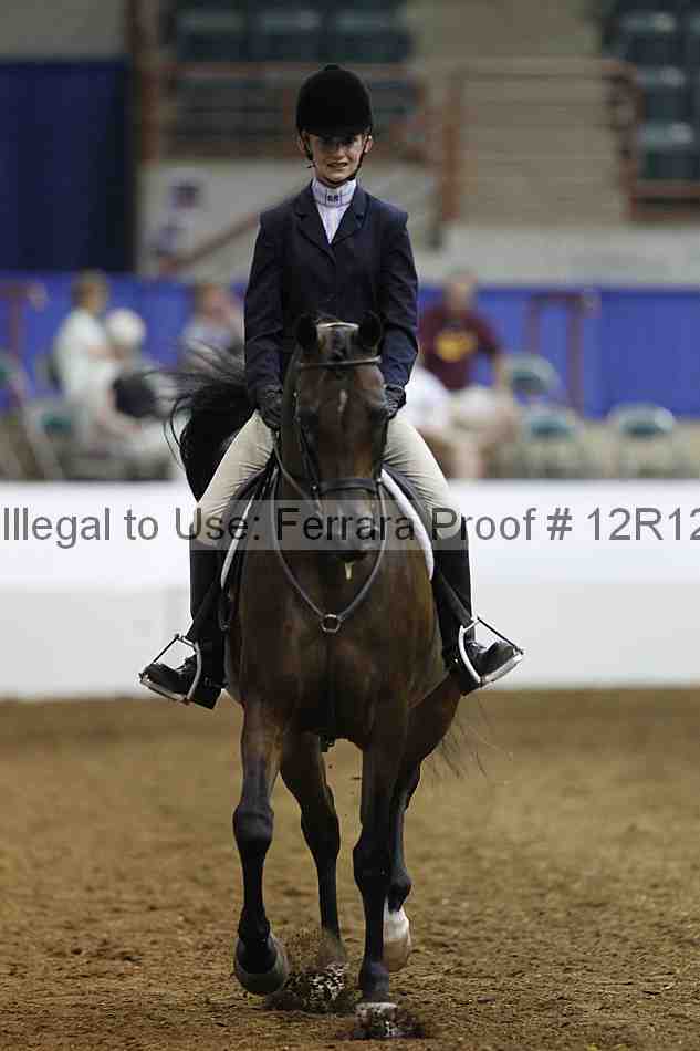 Proof Number 12r12_6389