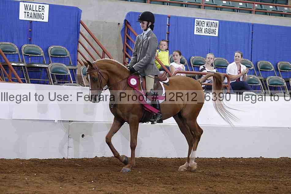 Proof Number 12r12_6390