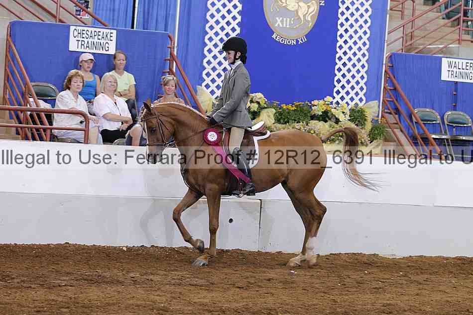Proof Number 12r12_6391