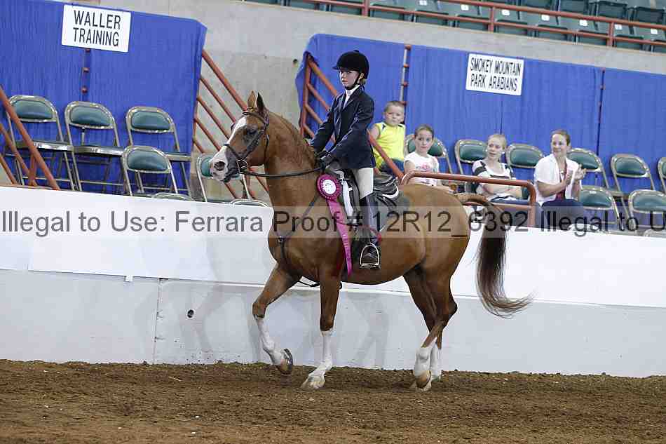 Proof Number 12r12_6392