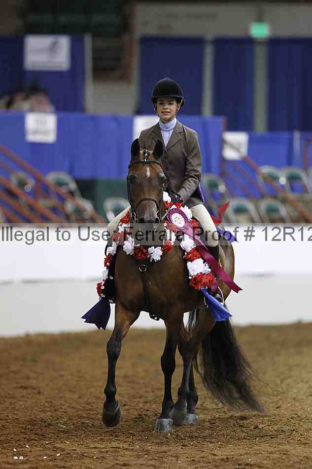 Proof Number 12r12_6394