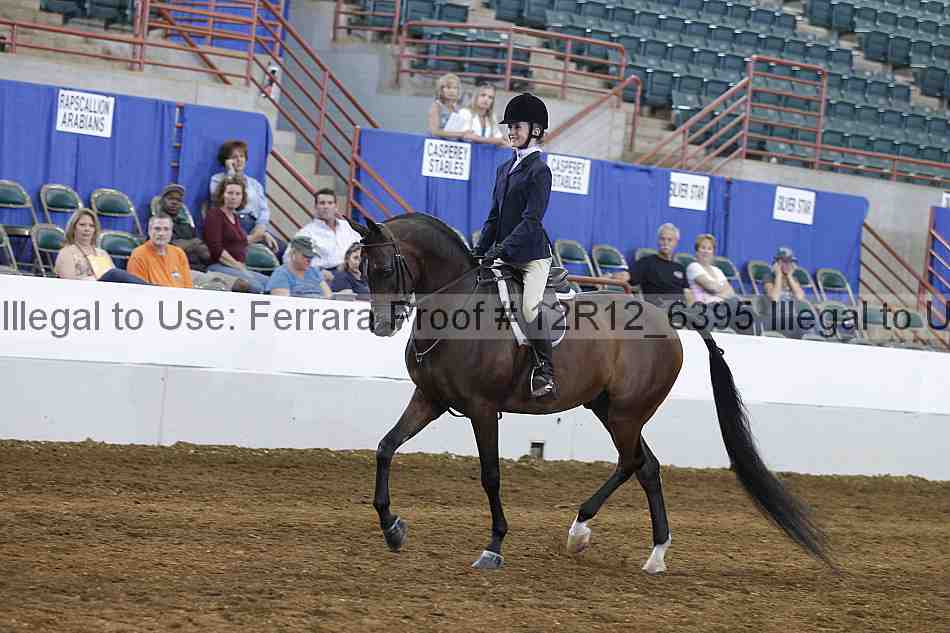 Proof Number 12r12_6395