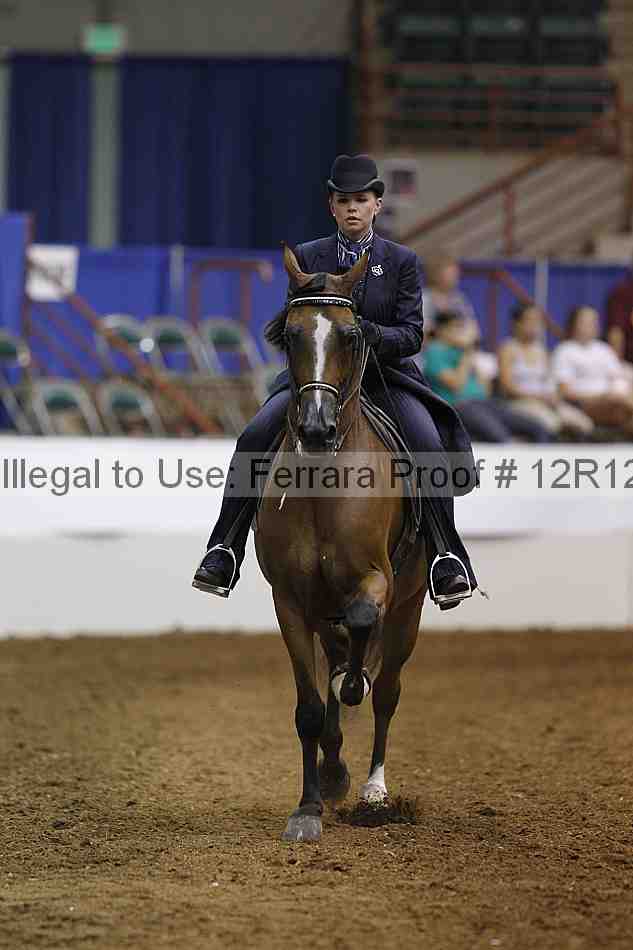 Proof Number 12r12_6405