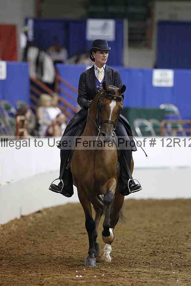 Proof Number 12r12_6406